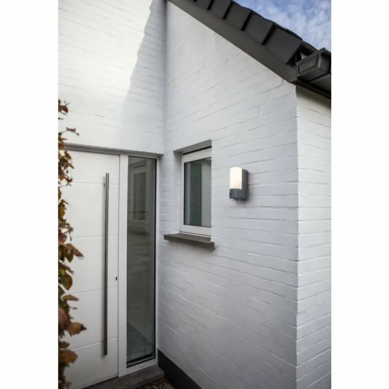 Luminaires Lutec Applique murale d'extérieur Lutec POLLUX LED Anthracite, 1 lumière, Détecteur de mouvement