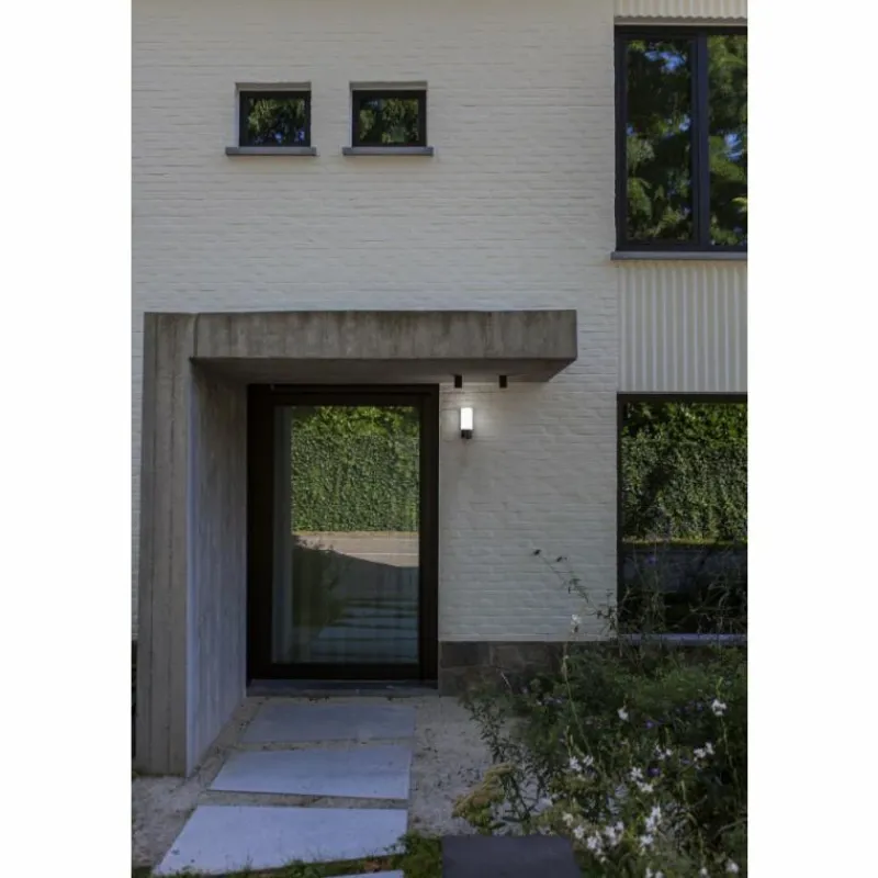 Luminaires Lutec Applique murale d'extérieur Lutec POLLUX LED Anthracite, 1 lumière, Détecteur de mouvement