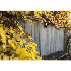 Luminaires Lutec Applique murale d'extérieur Lutec DRACO LED Noir, 1 lumière, Détecteur de mouvement