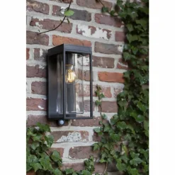 Luminaires Lutec Applique murale d'extérieur Lutec FLAIR Noir, 1 lumière, Détecteur de mouvement