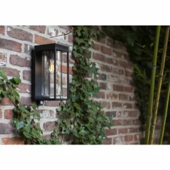 Luminaires Lutec Applique murale d'extérieur Lutec FLAIR Noir, 1 lumière, Détecteur de mouvement