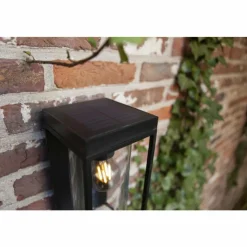 Luminaires Lutec Applique murale d'extérieur Lutec FLAIR Noir, 1 lumière, Détecteur de mouvement