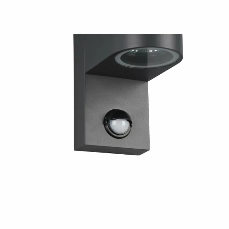 Luminaires Trio Applique murale d'extérieur Trio Roya Anthracite, 1 lumière, Détecteur de mouvement