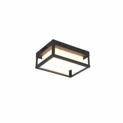 Luminaires Trio Applique murale d'extérieur Trio Witham LED Anthracite, 1 lumière