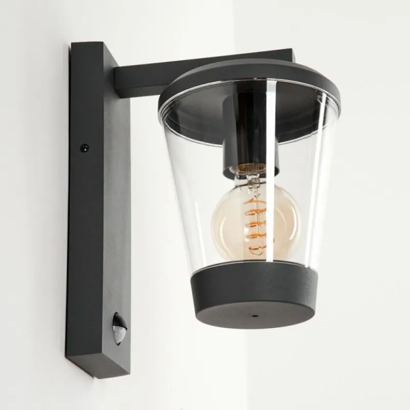 hofstein Applique murale d'extérieur Eloida Anthracite, 1 lumière, Détecteur de mouvement