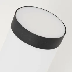 hofstein Applique murale d'extérieur Ruti Noir, 1 lumière