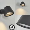 hofstein Applique murale d'extérieur Cook Anthracite, 1 lumière