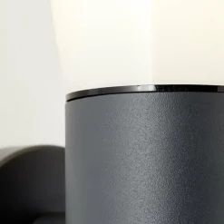 Luminaires Brilliant Applique murale d'extérieur Brilliant Cliffi Anthracite, 1 lumière