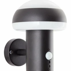 Luminaires Brilliant Applique murale d'extérieur Brilliant Ilton LED Noir, 1 lumière, Détecteur de mouvement