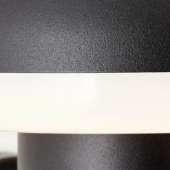 Luminaires Brilliant Applique murale d'extérieur Brilliant Ilton LED Noir, 1 lumière, Détecteur de mouvement