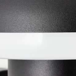 Luminaires Brilliant Applique murale d'extérieur Brilliant Ilton LED Noir, 1 lumière, Détecteur de mouvement