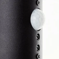 Luminaires Brilliant Applique murale d'extérieur Brilliant Ilton LED Noir, 1 lumière, Détecteur de mouvement