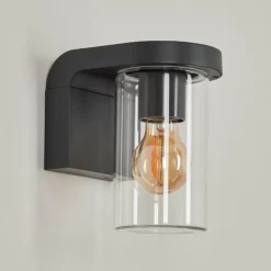 hofstein Applique murale d'extérieur Radnor Anthracite, 1 lumière