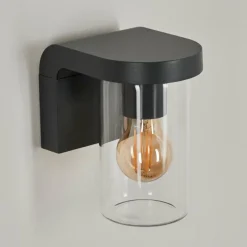 hofstein Applique murale d'extérieur Radnor Anthracite, 1 lumière