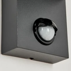 hofstein Applique murale d'extérieur Kingstown Anthracite, Transparent, 1 lumière, Détecteur de mouvement