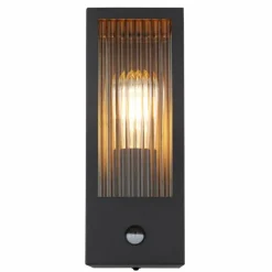 Luminaires Globo Lighting Applique murale d'extérieur Globo GUNDULA Noir, 1 lumière, Détecteur de mouvement