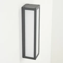 hofstein Applique murale d'extérieur Apidou LED Anthracite, 1 lumière
