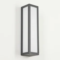hofstein Applique murale d'extérieur Apidou LED Anthracite, 1 lumière
