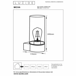 Luminaires Lucide Applique murale d'extérieur Lucide MICHA Noir, 1 lumière