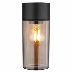 Suspension Verre Fumé-Luminaires Globo Lighting Applique murale d'extérieur Globo ETSI Couleur bois, Noir, 1 lumière