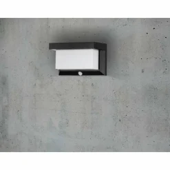 Luminaires Eglo Applique murale d'extérieur Eglo Z_SOLAR LED Noir, 32 lumières, Détecteur de mouvement