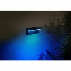 Luminaires Philips Applique murale d'extérieur Philips Hue Nyro LED Noir, 1 lumière, Changeur de couleurs
