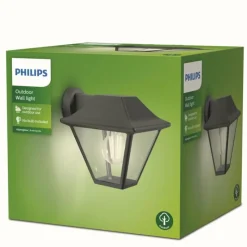Luminaires Philips Applique murale d'extérieur Philips Alpenglow Anthracite, 1 lumière