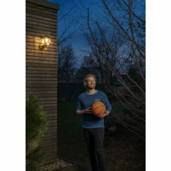 Lampes Dorées-Luminaires Ledvance Applique murale d'extérieur LEDVANCE ENDURA® Or, Noir, 1 lumière