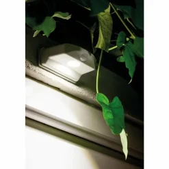 Luminaires Ledvance Applique murale d'extérieur LEDVANCE Door Blanc, 1 lumière, Détecteur de mouvement