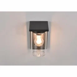 Luminaires Trio Applique murale d'extérieur Trio Ardila Noir, 1 lumière