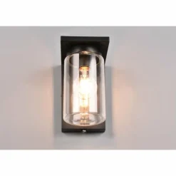 Luminaires Trio Applique murale d'extérieur Trio Ardila Noir, 1 lumière