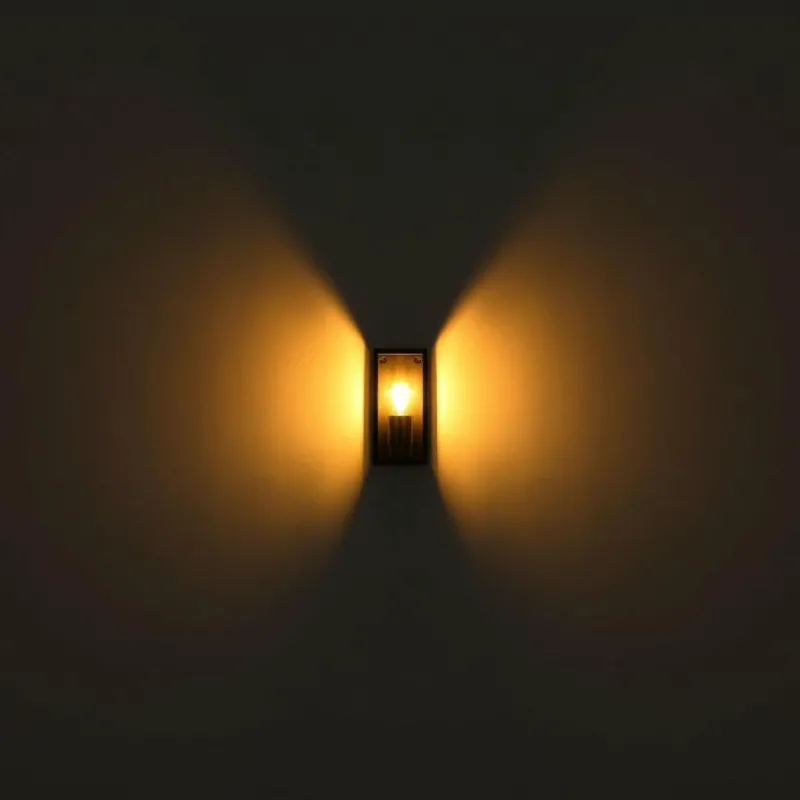 Luminaires Globo Lighting Applique murale d'extérieur Globo GUNDULA Noir, 1 lumière