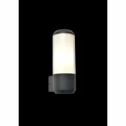 Luminaires Lutec Applique murale d'extérieur Lutec Heros Anthracite, 1 lumière