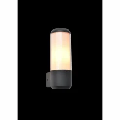 Luminaires Lutec Applique murale d'extérieur Lutec Heros Anthracite, 1 lumière