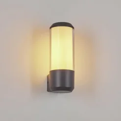 hofstein Applique murale d'extérieur Gondoyer Anthracite, 1 lumière