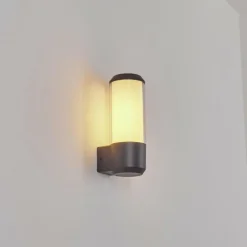 hofstein Applique murale d'extérieur Gondoyer Anthracite, 1 lumière