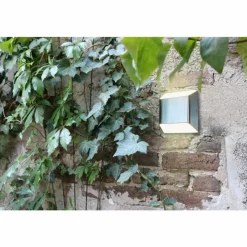 Luminaires Lutec Applique murale d'extérieur Lutec Flyod LED Acier inoxydable, 1 lumière