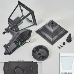 Luminaires Rustiques-hofstein Applique murale d'extérieur Naofe Noir, 1 lumière, Détecteur de mouvement