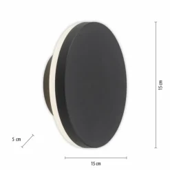 Luminaires Paul Neuhaus Applique murale d'extérieur Paul Neuhaus PUNTUA LED Anthracite, 1 lumière