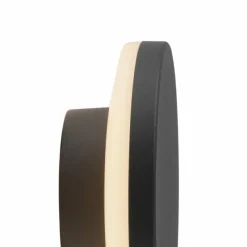 Luminaires Paul Neuhaus Applique murale d'extérieur Paul Neuhaus PUNTUA LED Anthracite, 1 lumière