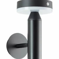 Luminaires Brilliant Applique murale d'extérieur Brilliant Magua LED Noir, 1 lumière