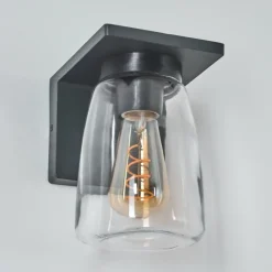 hofstein Applique murale d'extérieur Aquin Anthracite, 1 lumière