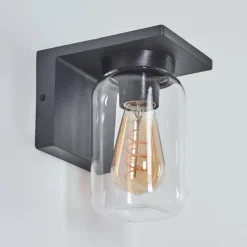 hofstein Applique murale d'extérieur Aquin Anthracite, 1 lumière