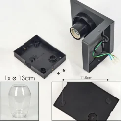 hofstein Applique murale d'extérieur Aquin Anthracite, 1 lumière