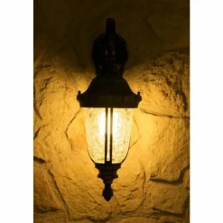 Luminaires Orion Applique murale d'extérieur Orion Transparent