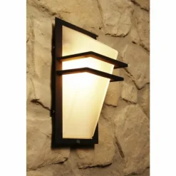 Luminaires Eglo Applique murale d'extérieur Eglo Park Anthracite, 1 lumière