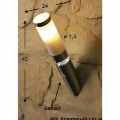 Luminaires Brilliant Applique murale d'extérieur Brilliant Bole Acier inoxydable, 1 lumière, Détecteur de mouvement