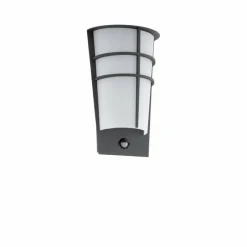 Luminaires Eglo Applique murale Eglo BREGANZO 1 LED Anthracite, 2 lumières, Détecteur de mouvement