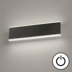 Luminaires Fischer & Honsel Applique murale Fischer & Honsel Muur LED Noir, 1 lumière