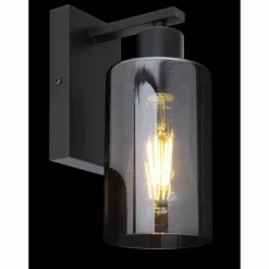 Suspension Verre Fumé-Luminaires Globo Lighting Applique murale Globo HADERA Noir, 1 lumière